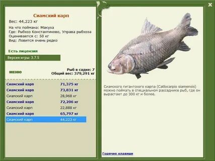 Где ловить карпа