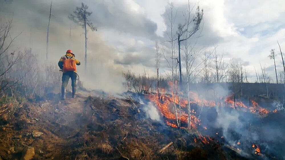 Лесные пожары Тюмень. Лесные пожары в Тюменской области. Дым от лесных пожаров. Чита задымления Лесные пожары.