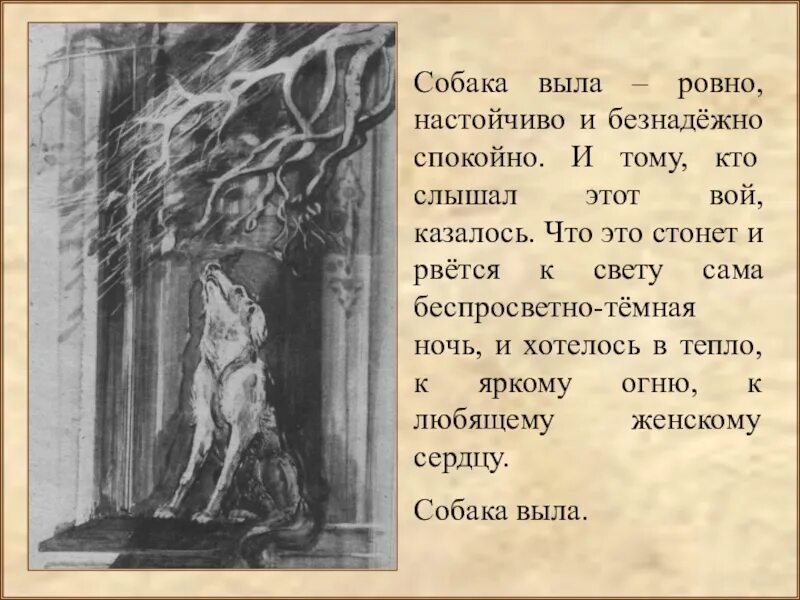 Сочинение кусака 7 класс. Собака кусака Андреев. Собака выла Ровно настойчиво. Кусака воет.