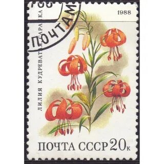 Июль 1988