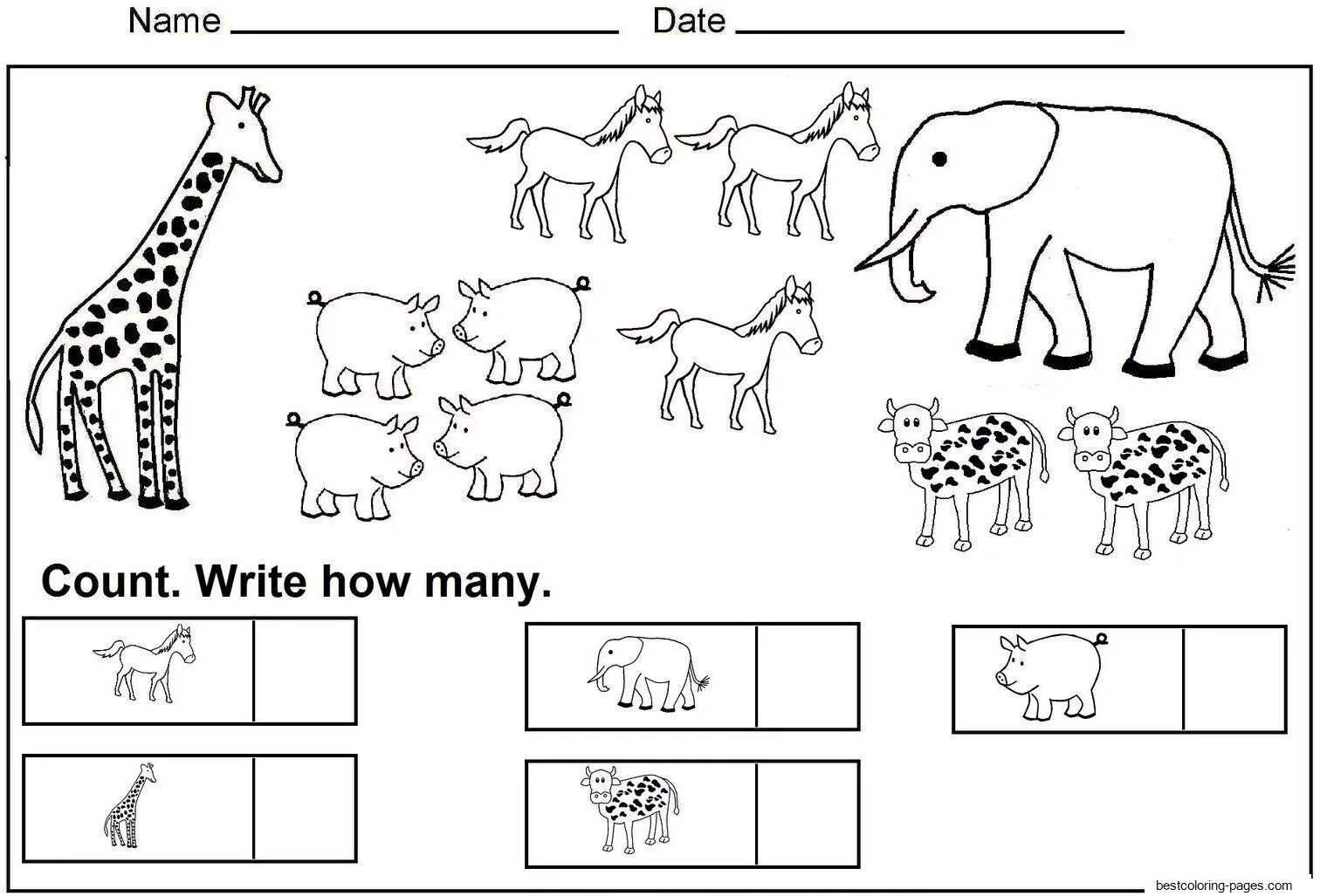 How many connections. Задания по теме animals. задания по английскому животные. картинки-задания how many. animals задания для детей.