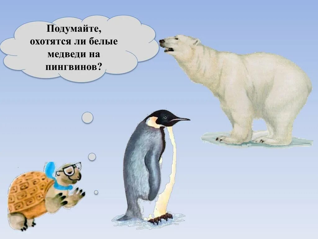 Почему мишка живет 1. Белый медведь и Пингвин. Белые медведи и пингвины живут. Белый медведь охотится на пингвинов. Белый медведь и Пингвин Пингвин.