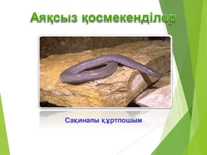 Әйелдерге арналған секс машиналары