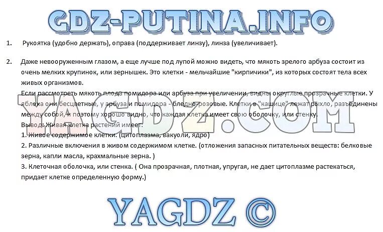 Биология 5 класс вопросы и ответы. Биология 5 класс учебник Пасечник вопросы. Биология 5 класс учебник ответы на вопросы. Домашнее задание биология.