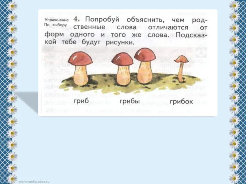 Слово гриб. Форма слова гриб. Форма слова к слову гриб. Предложение со словом гриб. Предложение со словом гриб 2 класс.