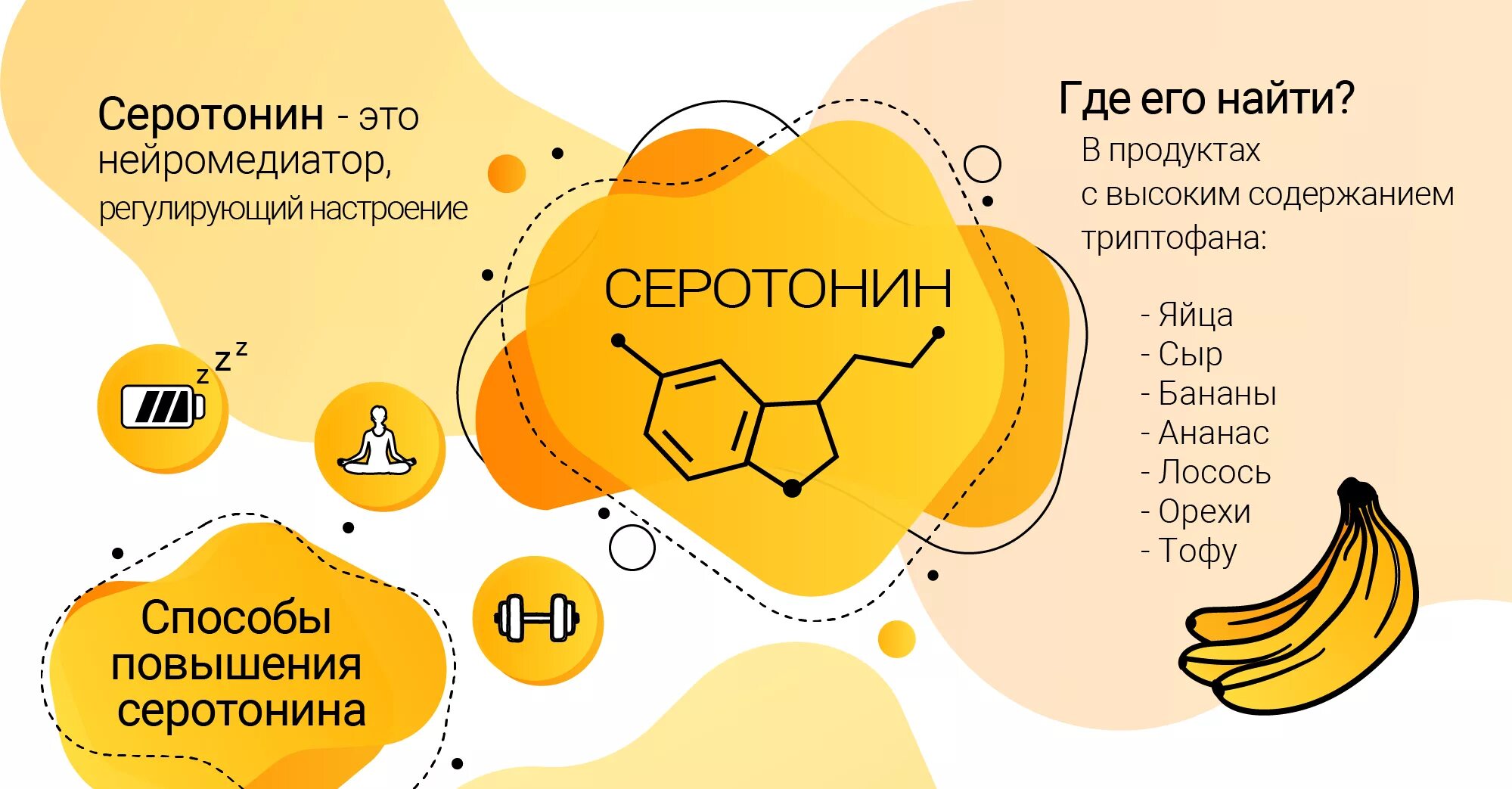 Как поднять дофамин в организме. Выработка серотонина в организме. Продукты для серотонина. Серотонин гормон счастья. Неотонин.