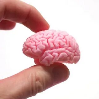 Small brain