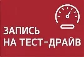 Записям тесте