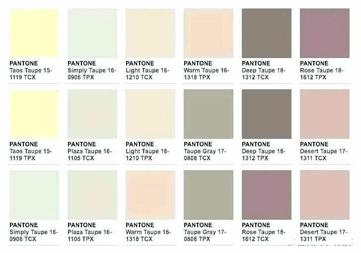 Taupe color. Цвет taupe. simply taupe цвет. цвет light taupe. тауп грей цвет.