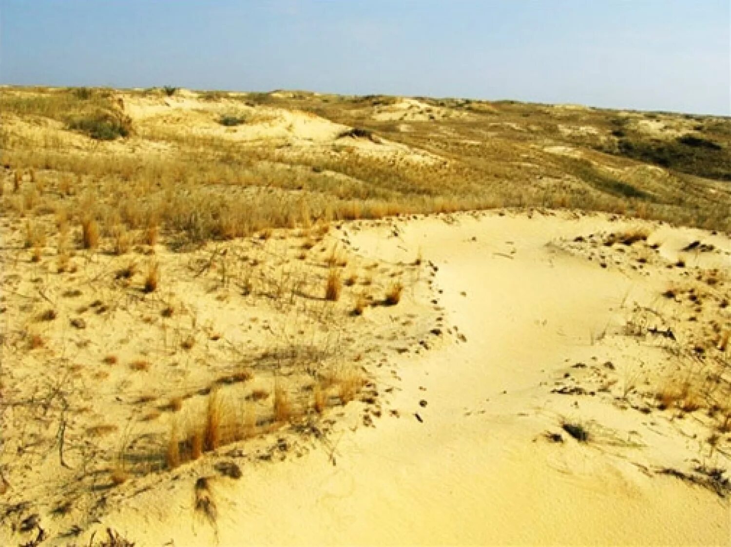 европа пустынна. европа пустынна. олешковские пески украина. европа пустынна. пустыня алешковские пески.