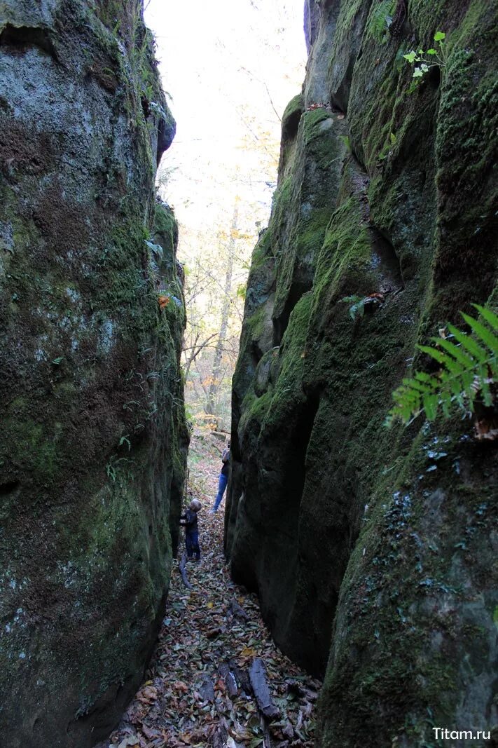 Волчьи ворота дагестан. Волчьи ворота терскол. Волчьи ворота где. Гора волчьи ворота дагестан. Волчьи ворота чибий краснодарский край.