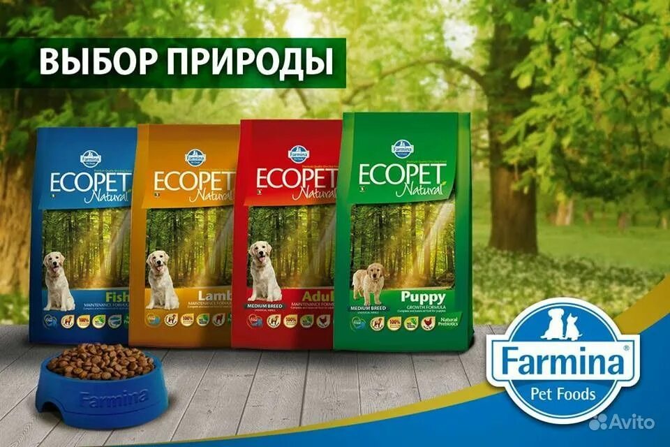 Farmina Ecopet natural. Фармина для собак. Farmina баннер. Зоомагазин Фармина. Купить фармина для собак спб