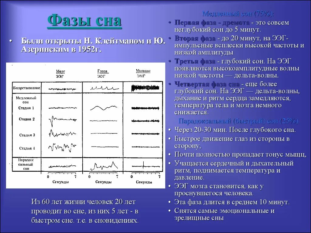 Из каких фаз состоит сон. Фазы быстрого и медленного сна таблица. Описание медленной фазы сна. Фаза быстрого сна и фаза медленного сна таблица. Фаза быстрого и медленного сна Продолжительность.