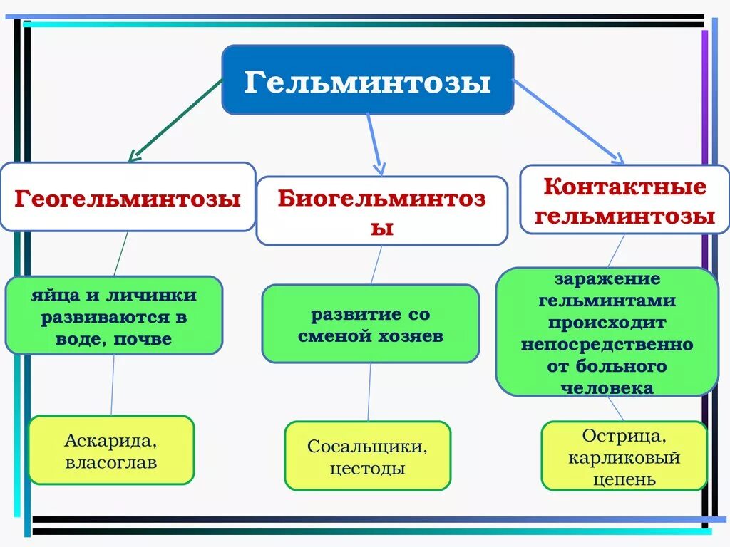 Контрактные гельминтозы. Контактные гельминтозы. Контактные гельминтозы классификация. Геогельминты и биогельминты и контактные гельминты. Биогельминтозы