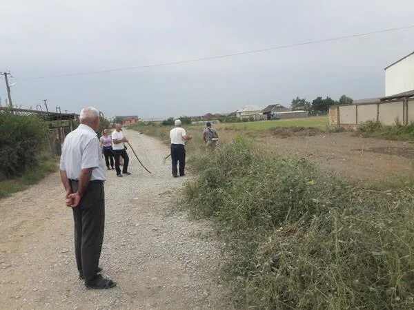 музаим курганы. температура воздуха днём сегодня. село музаим дербентский район. погода в казани.