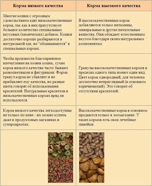 Какие крупы можно кошкам