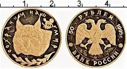 Монета 50 рублей 1995 года. Монета 50 рублей 1995 года