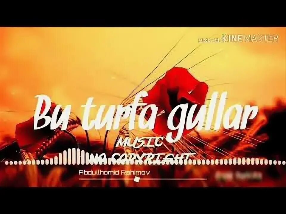 Бу турфа гуллар айтинг. Турфа гуллар айтинг. шохруххон бу турфа гуллар. бу турфа гуллар айтинг мухаббат богиданми.