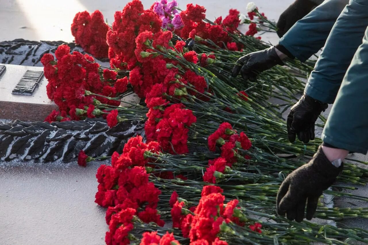 Алеша без купюр. Мемориал Алеша в Мурманске. Митинг памяти. Памятник воину Алеше в Мурманске. Цветы России.