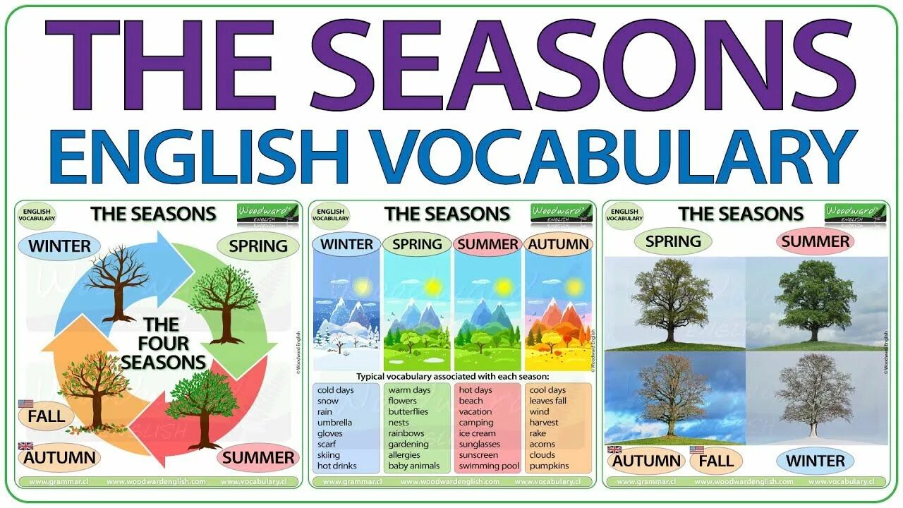 Describe seasons. Времена года на английском. Времена года на английском языке для детей. Месяца на английском. Seasons для детей на английском.