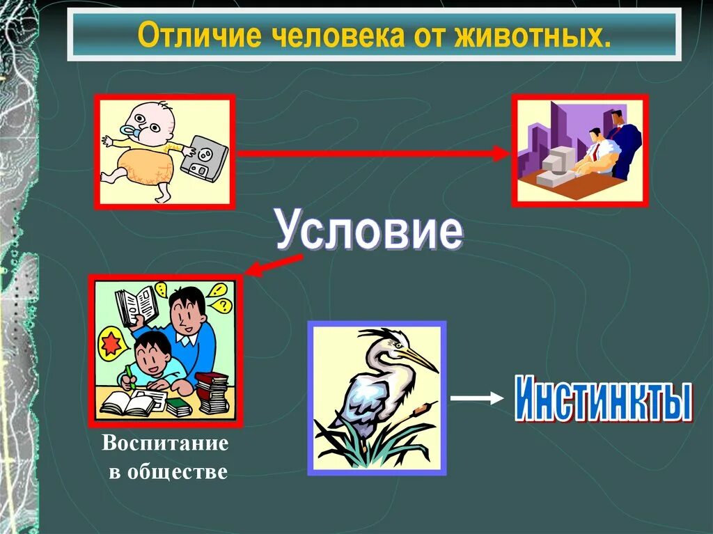 Отличие человека от животного. Рисунок на тему чем человек отличается от животного. Отличие человека от животного Обществознание. Чем человек отличается от животных 3 класс.