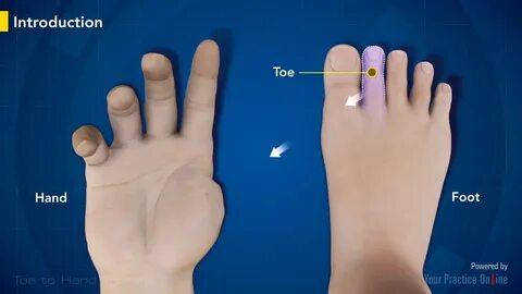 Toe finger