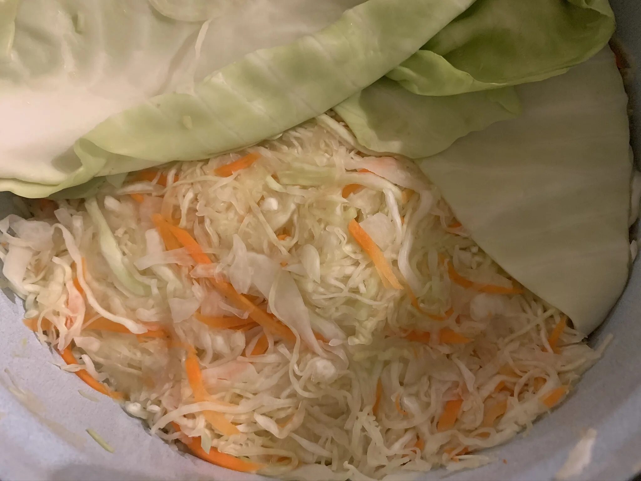 Квашеная капуста при заболевании жкт. Можно ли квашеную капусту при язве желудка. Сок капусты для желудка. Капуста при язве. Квашеная капуста при гастрите.