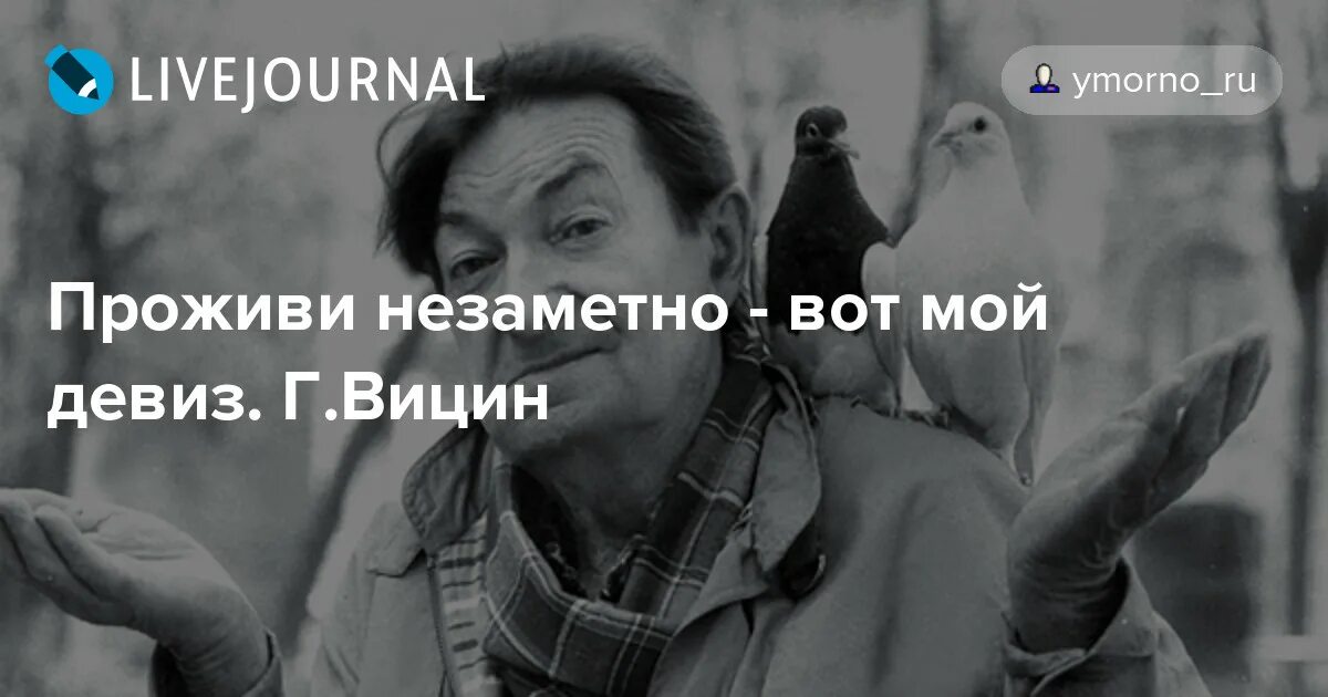Любовь уходит незаметно. В любых делах при максимуме сложностей. Лучшие мемы. Мемы смешные популярные. Умение любить и прощать.