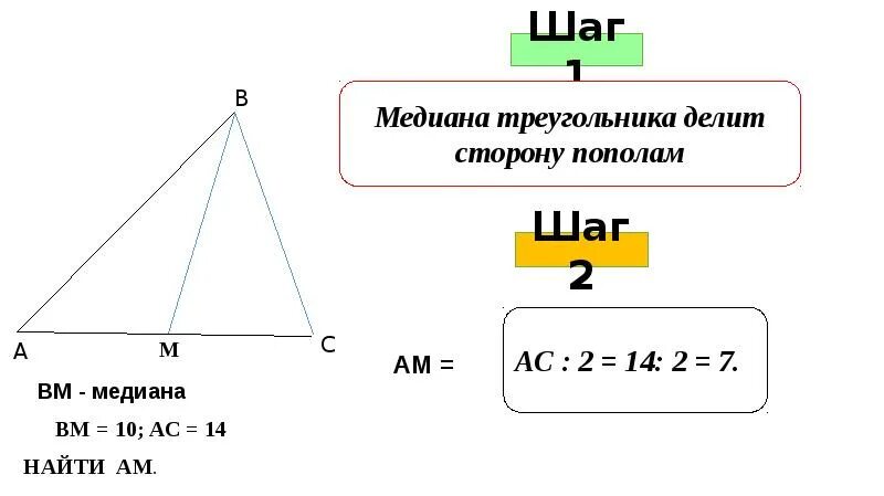 Высота делит противоположную сторону. Медиана делит треугольник пополам. Медиана в треугольнике делит сторону пополам. Медиана треугольника делит стороны треугольника пополам. Делит ли Медиана треугольника пополам.