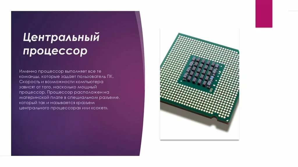 Из каких элементов состоит процессор. Из каких элементов состоит процессор