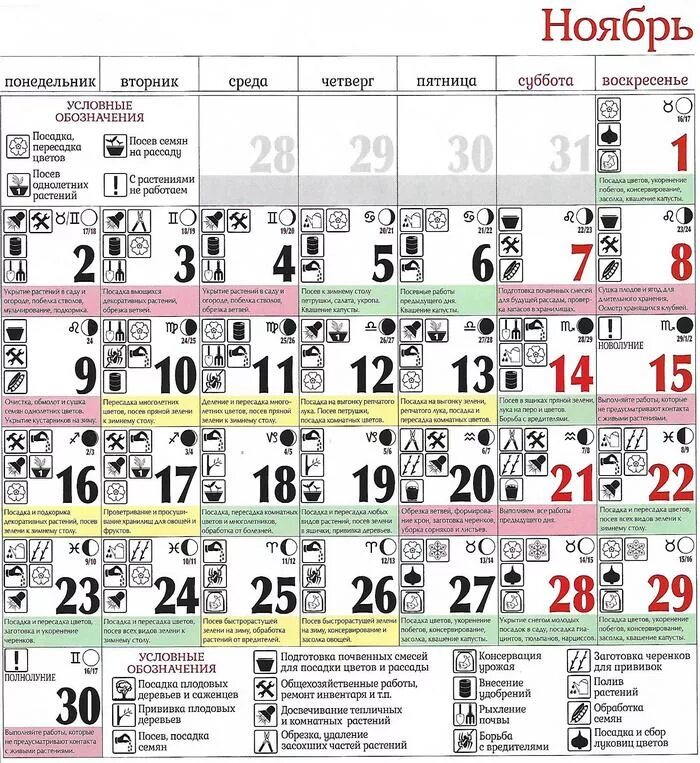 Лунный календарь 2020 год для посадки пересадки растений. Лунный посевной календарь на февраль 2021 года. Посевной календарь на февраль 2020. Благоприятные дни для посадки в феврале 2021 года.