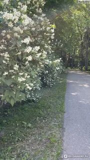 Залесская отзывы