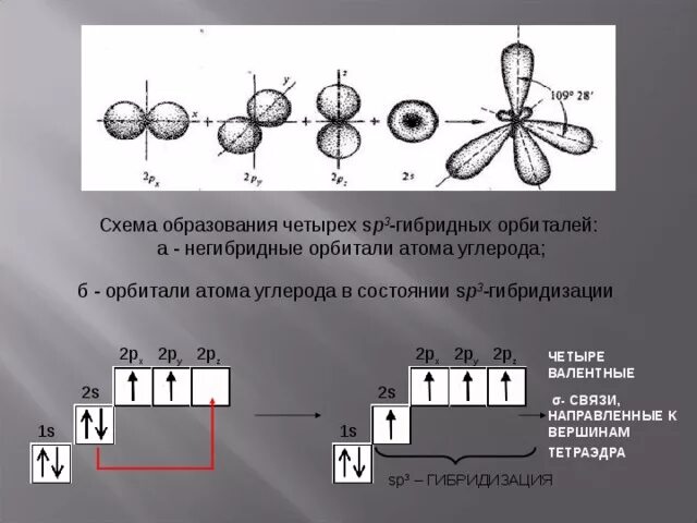 Атомы каких элементов имеют 2 валентных электрона. Sp2 гибридные орбитали углерода. Схема sp3 гибридизации углерода. Расположение sp3-гибридных орбиталей. SP гибридизация углерода.