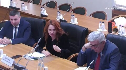 Видео комитете