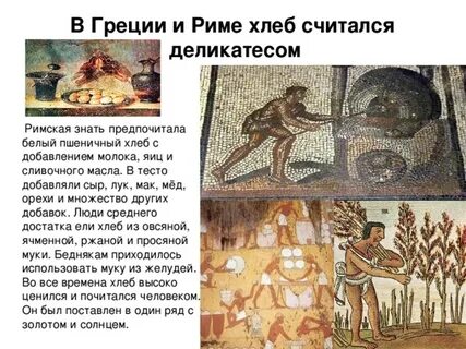 Риме умевший печь хлеб