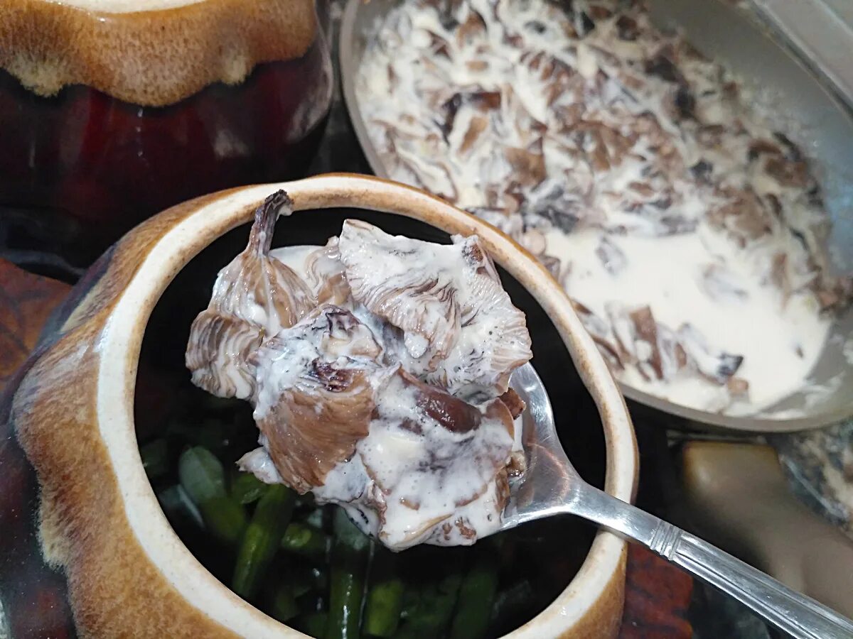 Картошечка с грибами в горшочках. Картофель с грибами в горшочке. Куриные сердечки в горшочках. Лесная кухня блюда. Картофель тушеный с грибами.
