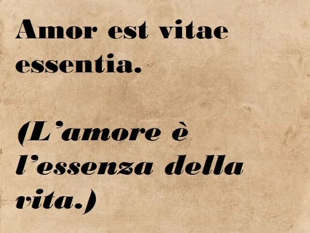 Vitae est. Amor est vitae Essentia. Amor est vitae Essentia тату. Amor est vitae пропись. Amor est vitae Essentia перевод.