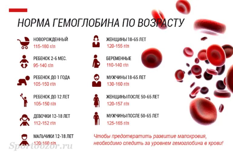 От чего повышается гемоглобин в крови