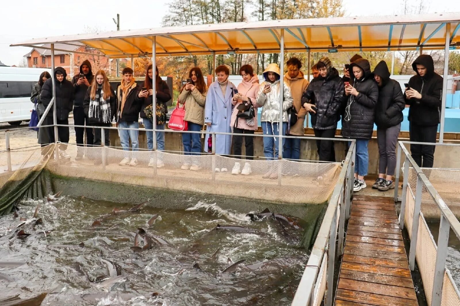 экскурсия на осетровую ферму. осетровая ферма коломна акатьево. астраханская фишка осетровая ферма. осетровая ферма кунашак. жуковская осетровая ферма.