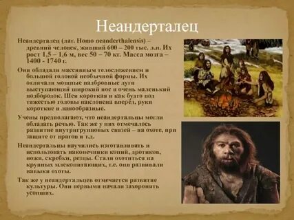 Характеристика первобытных вождей история 5 класс кратко