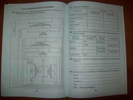 Систематика растений 7 класс пасечник