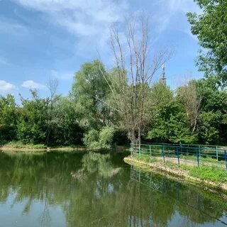 Озеро леснуха самара 5 просека