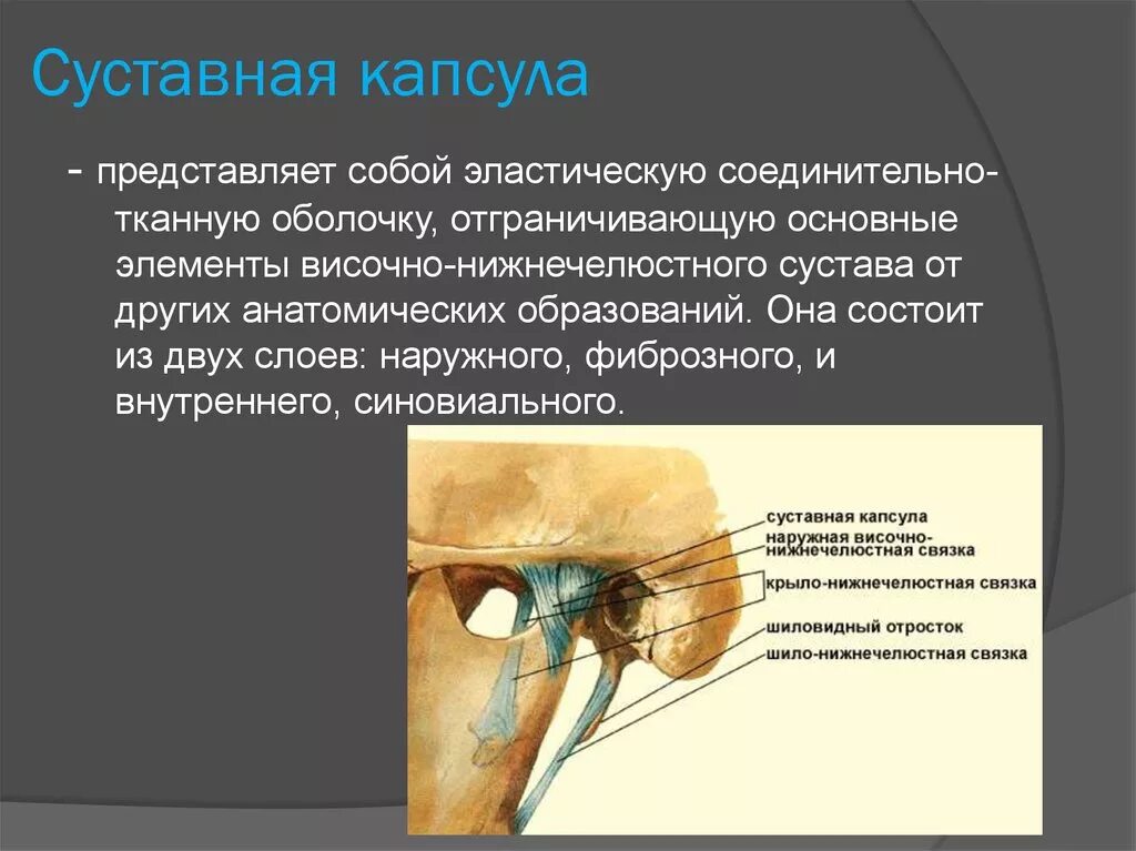 Синовиальная мембрана височно нижнечелюстного сустава. Анатомия сустава ВНЧС. Внутрикапсульные связки височно-нижнечелюстного сустава. Височно верхнечелюстной сустав анатомия.