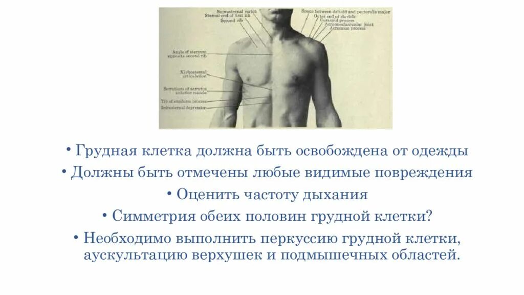 Грудная клетка при выдохе. Измерение объема грудной клетки манипуляция. Окружность грудной клетки. Пальпация дрожание грудной клетки. Пауза грудной клетки.