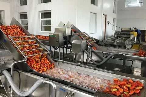 Переработка овощей оборудование