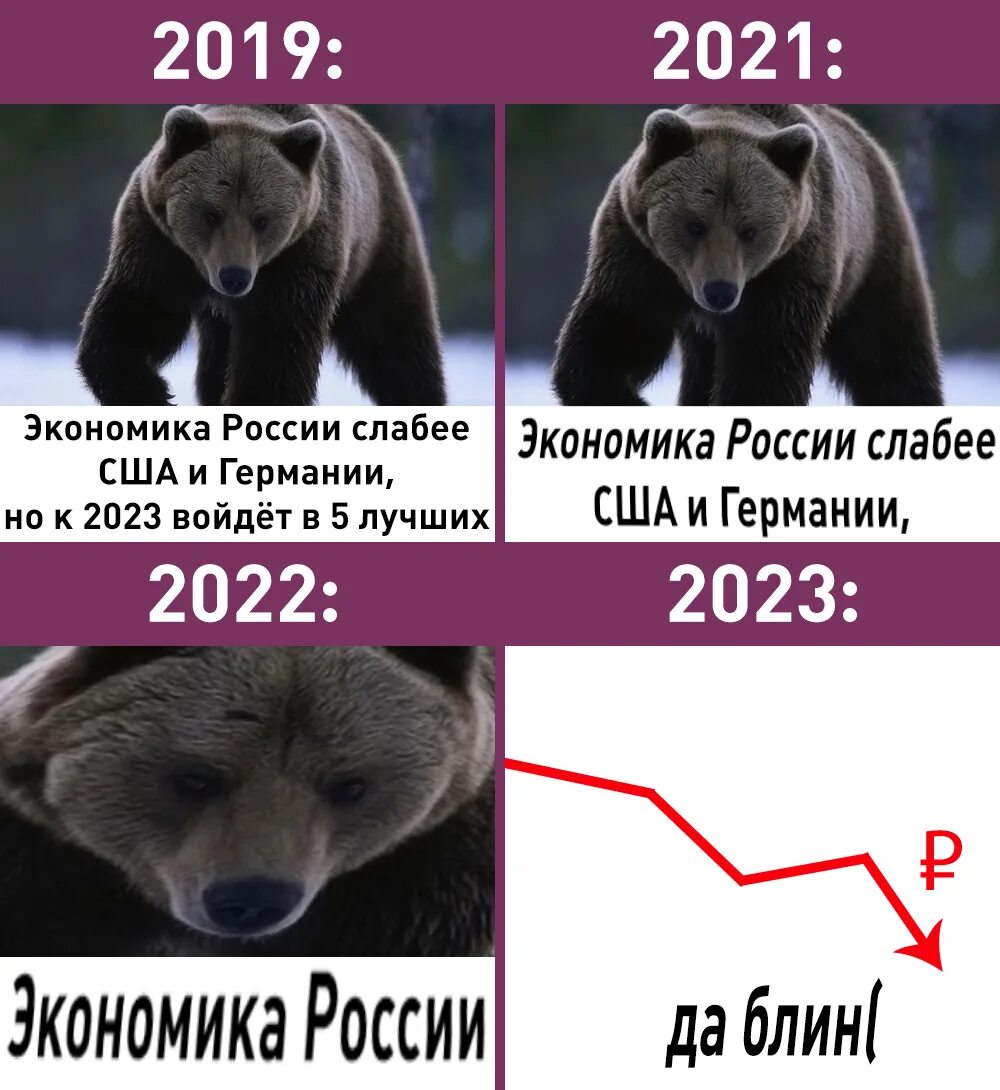 Мемы 2023 года Россия. Какой год будет 2023. Следующий год 2023. Какой следующий год животного в 2023 году в России.