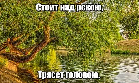 Стоит над водой трясет бородой