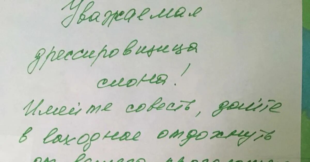 Соседи сверху сильно топают что делать. Соседи слоны сверху. Когда соседи сверху слоны. Соседи сверху сильно топают. Соседи сверху топают как слоны что делать.