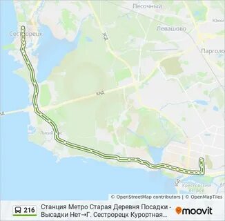 Автобусы сестрорецка 216