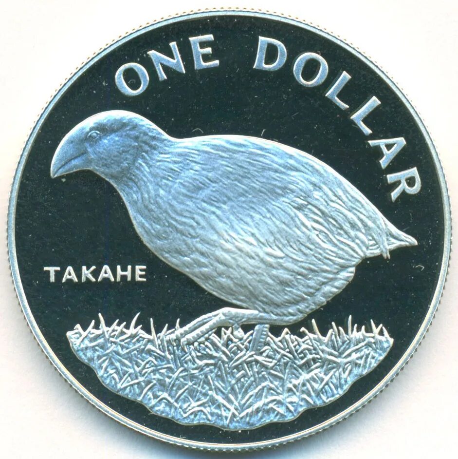 Доллар новая зеландия. Монета один доллар новой Зеландии. Новозеландский доллар. Монета новой Зеландии с киви. Новая Зеландия 1 доллар 2004 года.